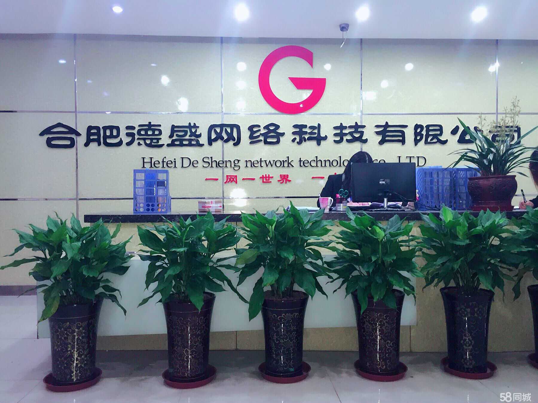 合肥德盛网络科技